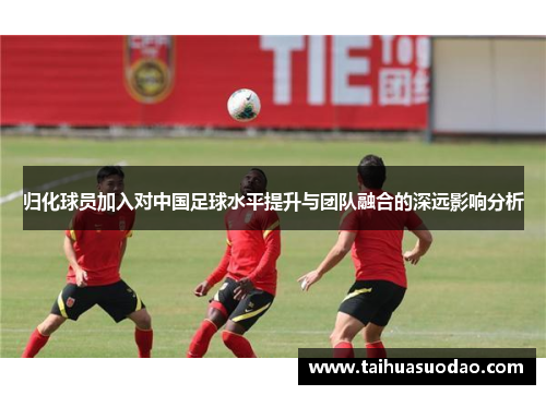 归化球员加入对中国足球水平提升与团队融合的深远影响分析