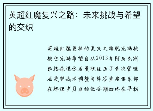 英超红魔复兴之路：未来挑战与希望的交织